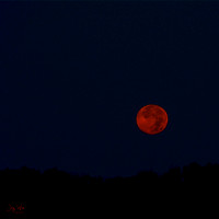 Wingfoot Moonset