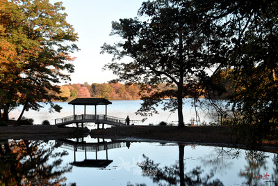 Wingfoot Bridge