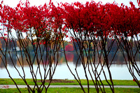 Burning Lake