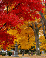 Red and Gold