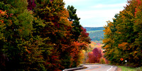 Those Autumn Leaves... of Red and Gold