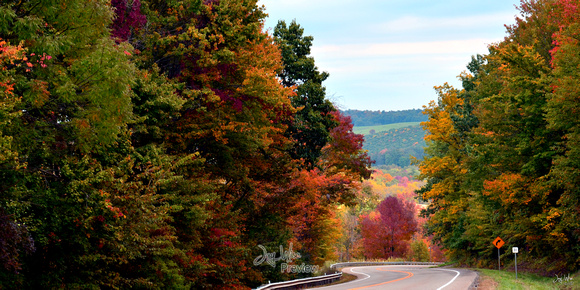 Fall Ohio Drive - Large Panoramic