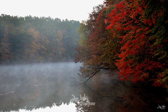 Foggy Fall Foliage