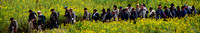 Rebels marching through field Super Panoramic