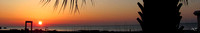 Hilton Head Palm Frond Super Panoramic Sunrise