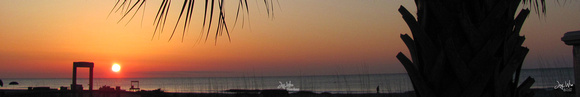 Hilton Head Palm Frond Super Panoramic Sunrise