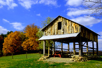 Scenic Shelter