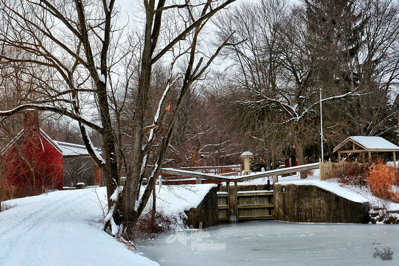 Frozen Four