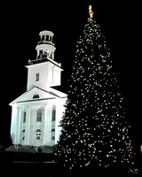 Festive Tallmadge Circle