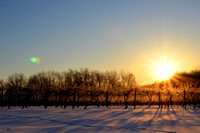 Winter Winery