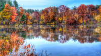 Wolf Creek Misty Reflection