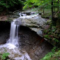 Blue Hen Falls from Above